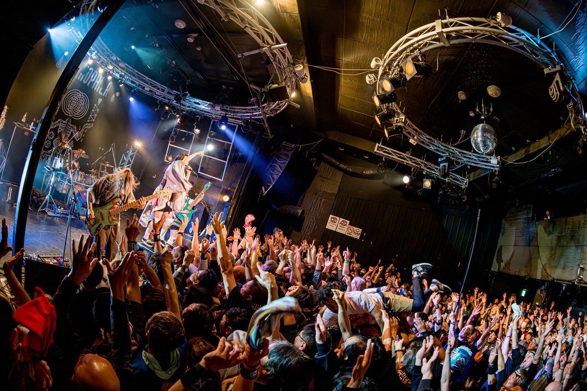 NEMOPHILA tweet media