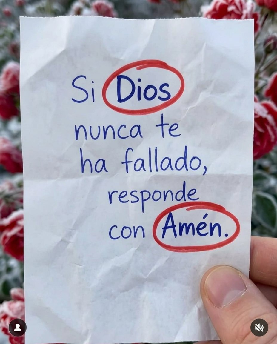 Ojo al Cielo tweet media