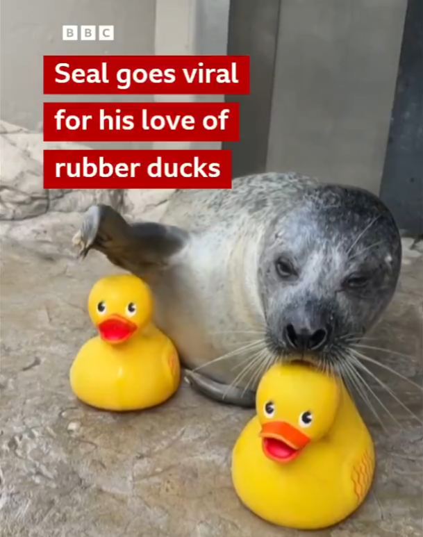 C0NTRACT tweet media