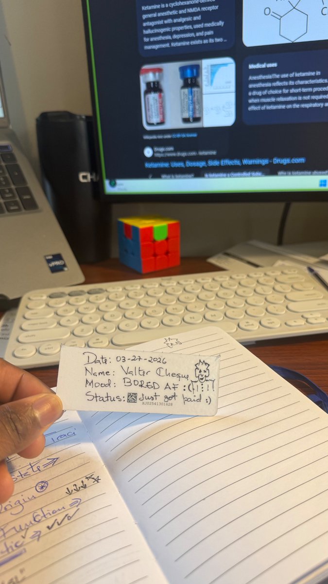 O Tigre Branco tweet media