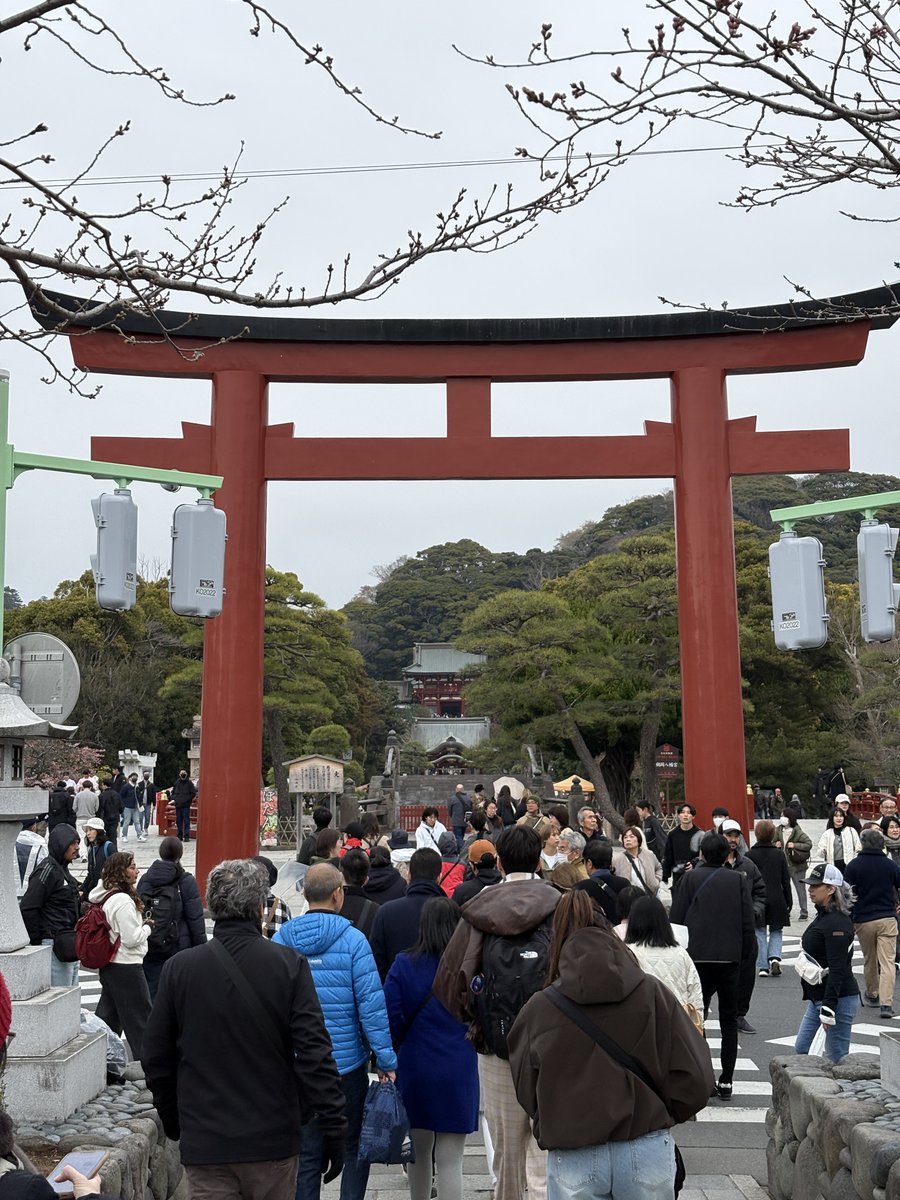 引きこもりの神社仏閣御朱印巡り tweet media