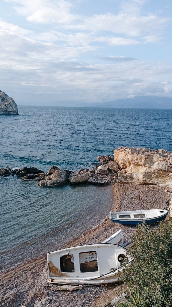 kanoni maria™•°* tweet media