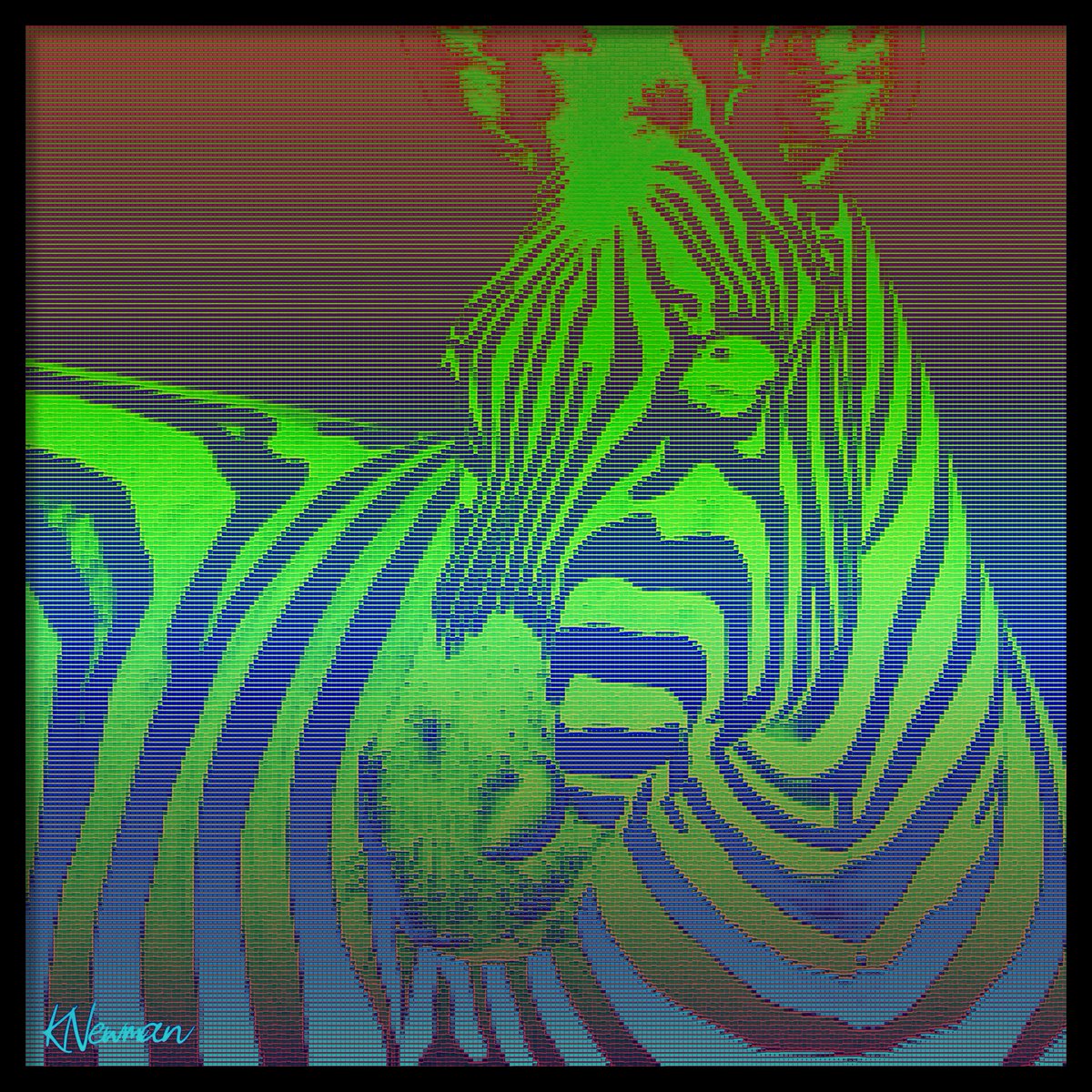 Kenneth Newman tweet media