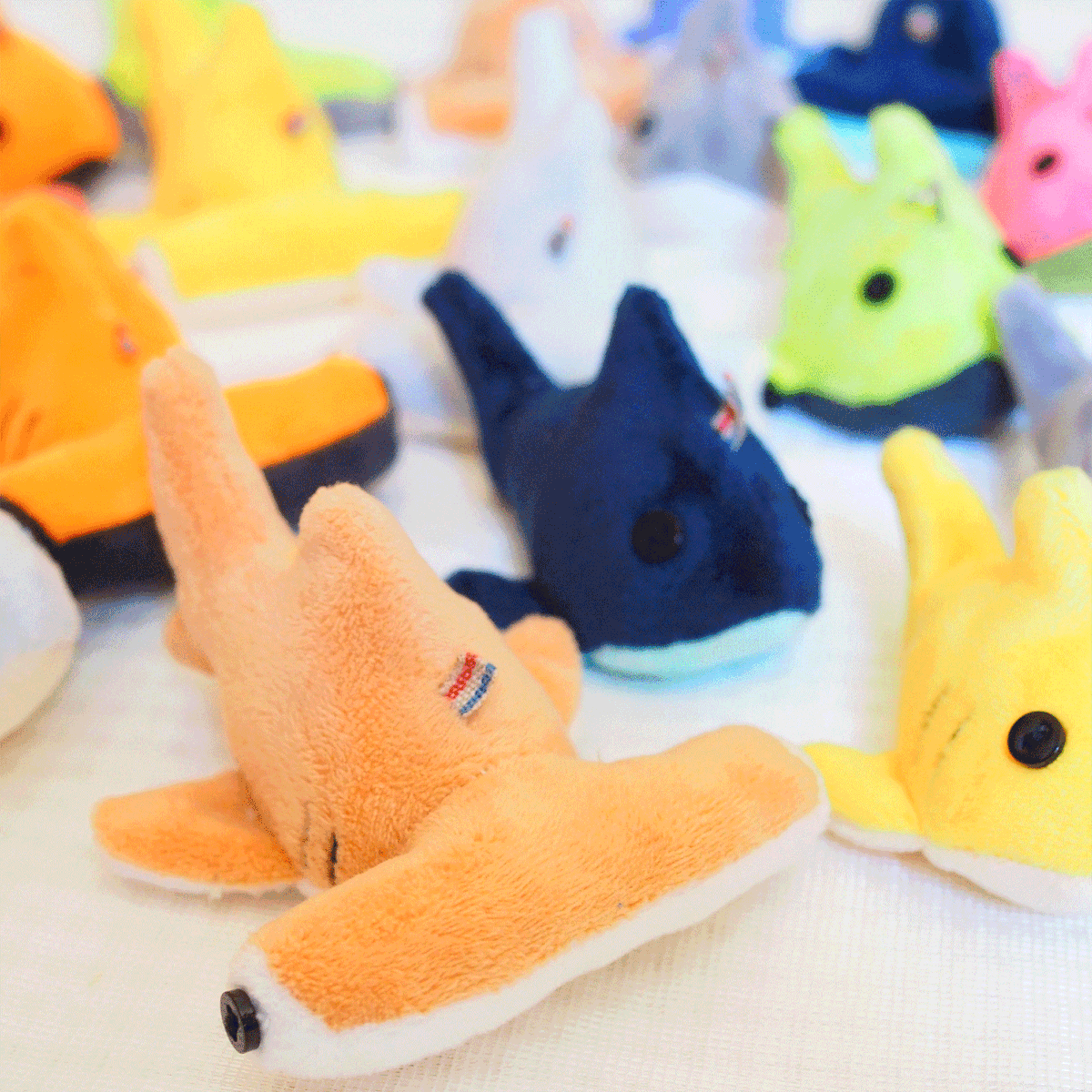 碧野@活動再開 tweet media