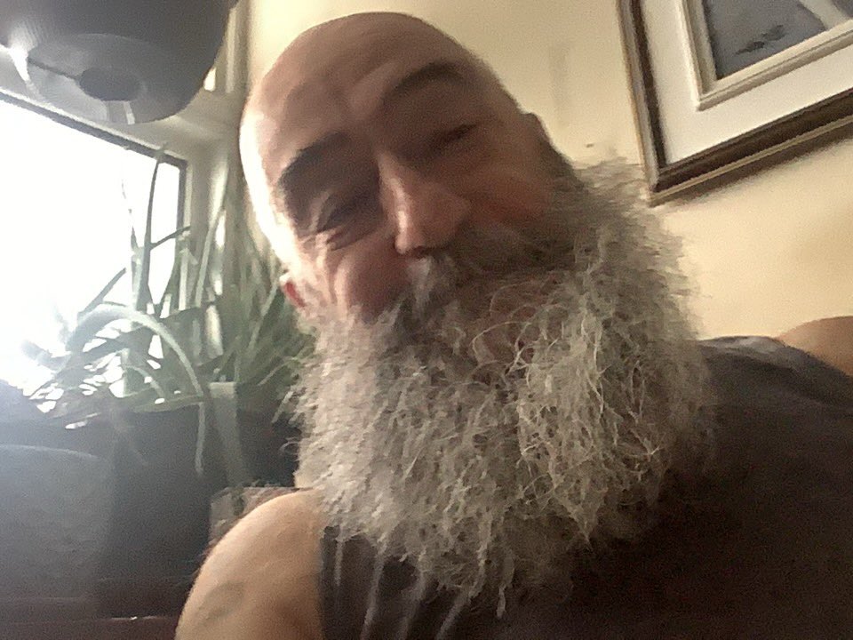 Terry Collin tweet media
