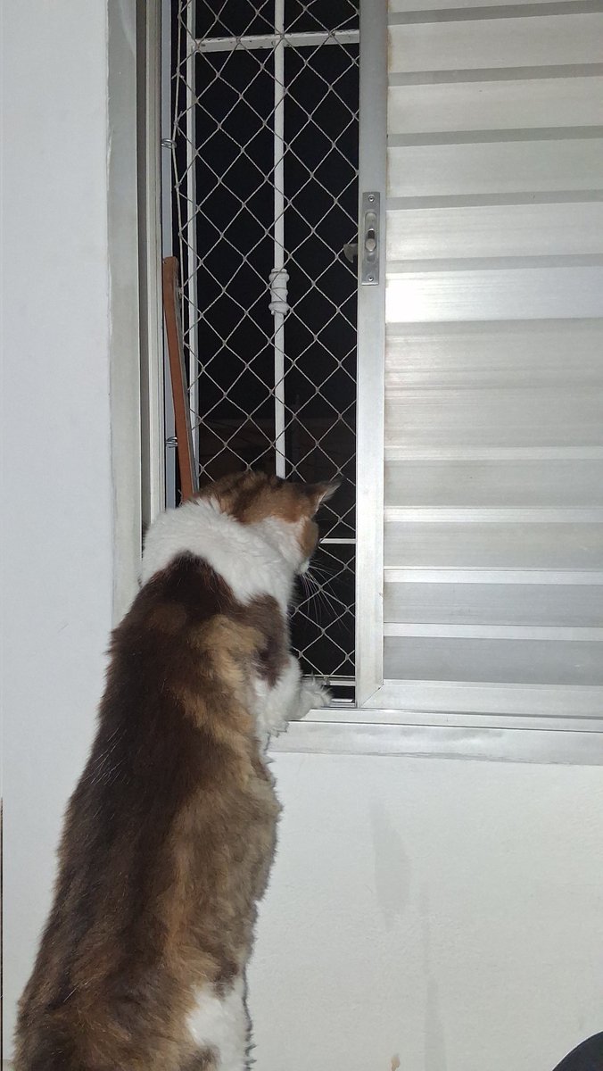 thiago ro7 ◢ ◤ tweet media