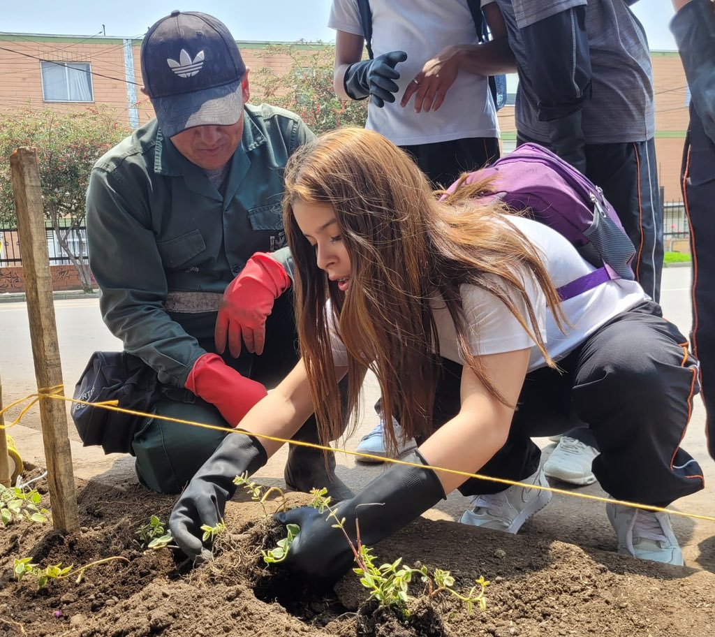 Jardín Botánico BOG tweet media