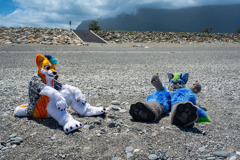 ZAZA_UTFG tweet media