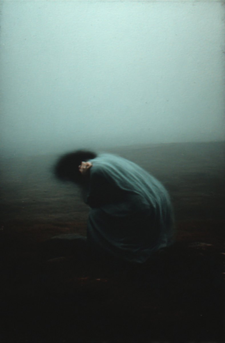 third genus tweet media