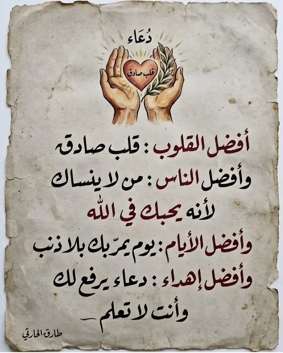 سلمى نور tweet media