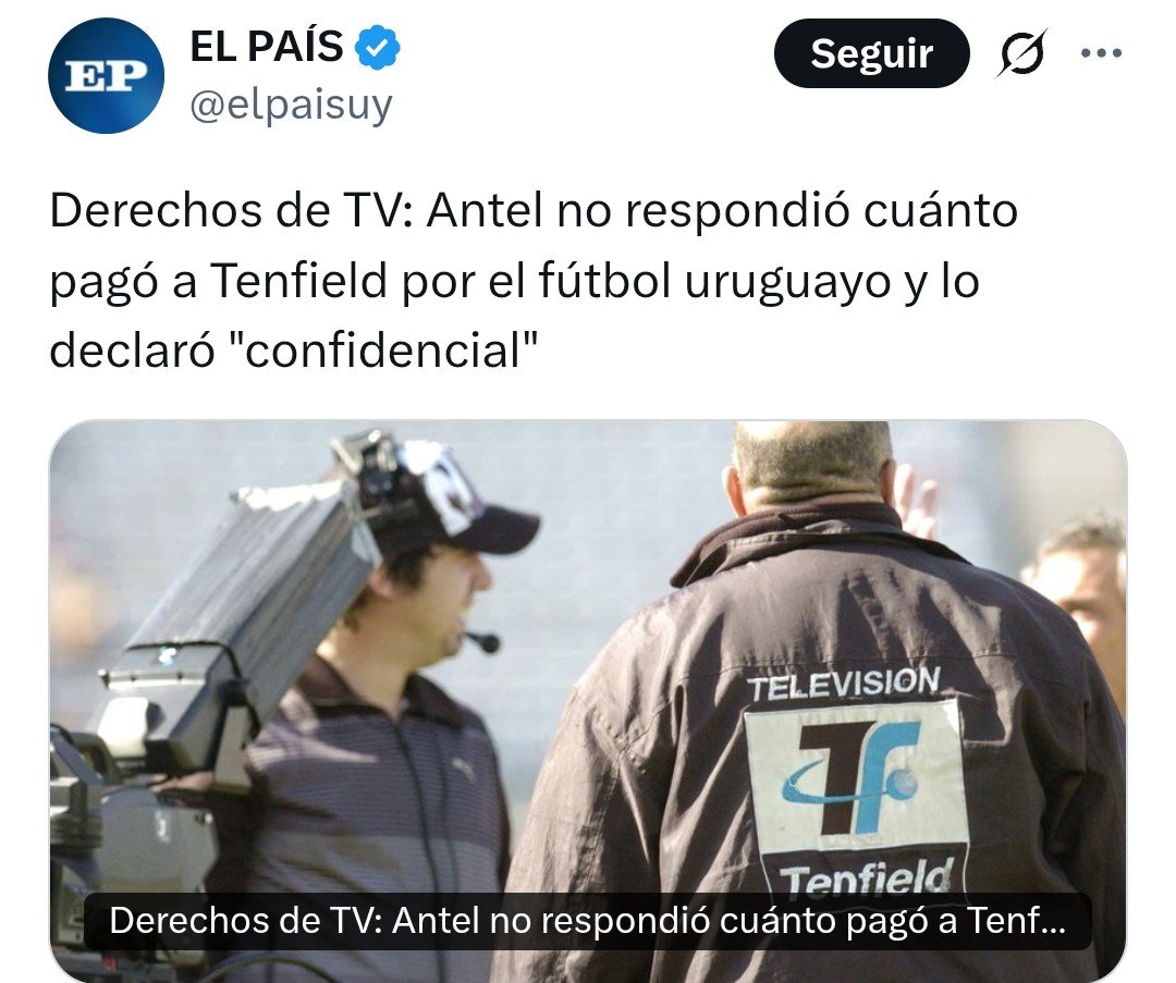 Gerardo Bassorelli tweet media