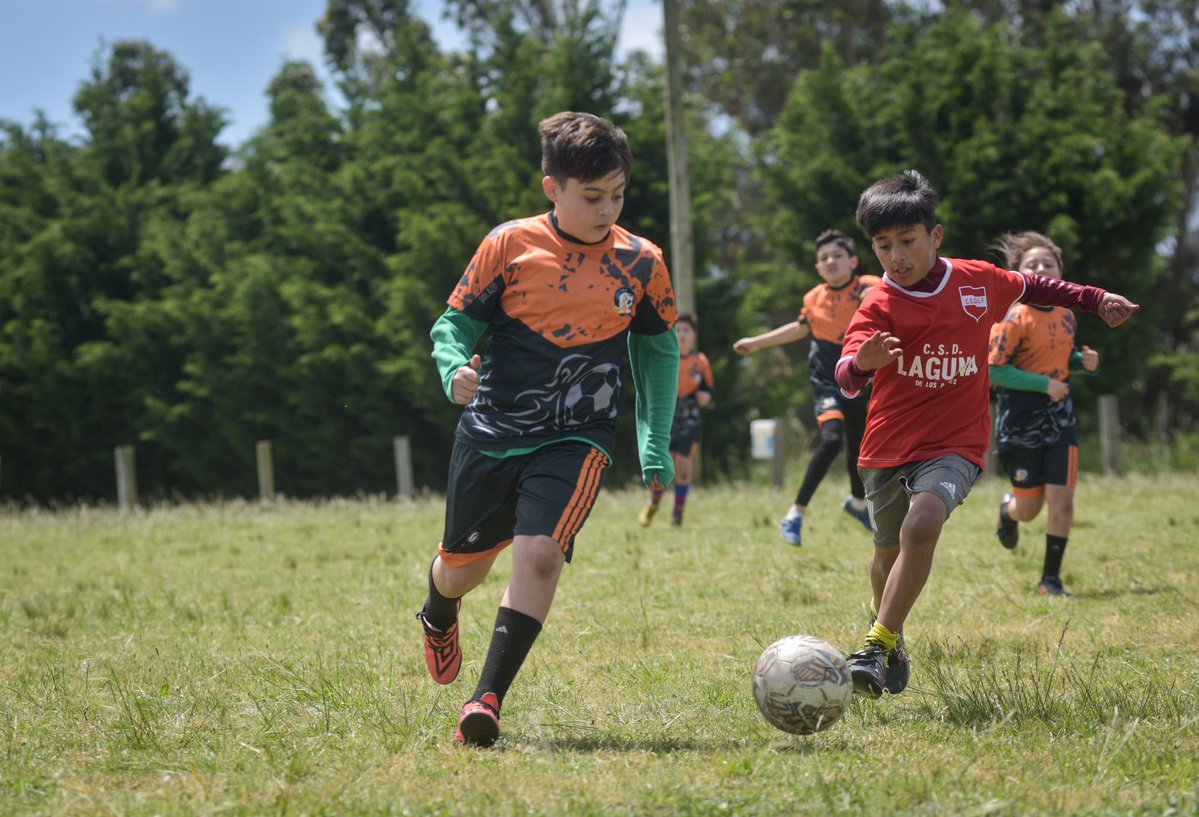 Deportes Mar del Plata tweet media