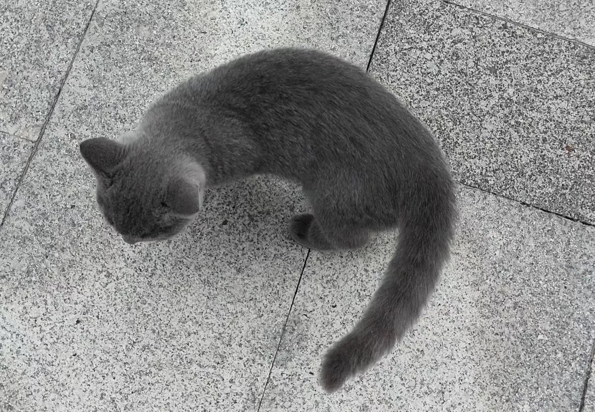 Autumn Asylum tweet media