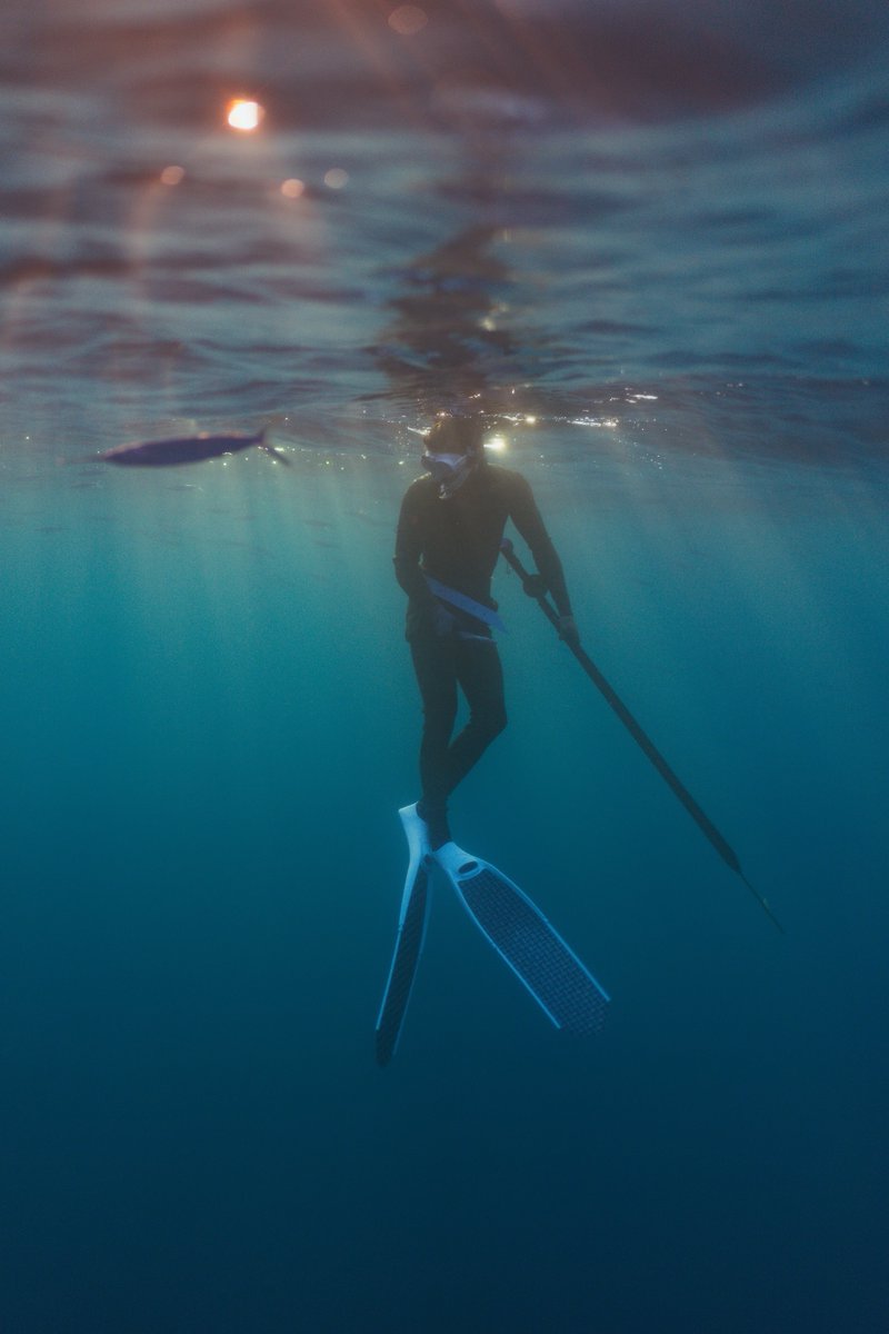 Ponzi Trader tweet media