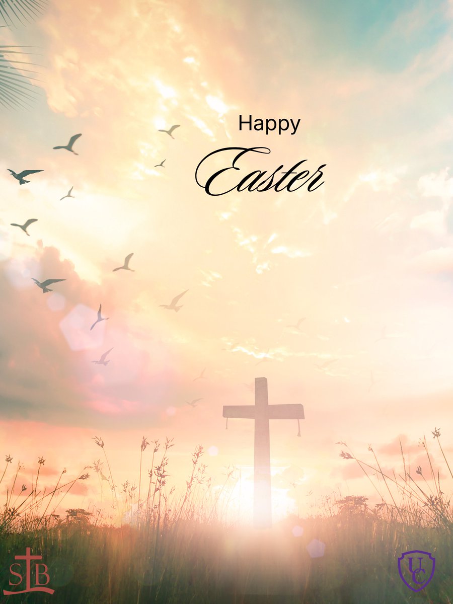 St. Bernard's Residence tweet media