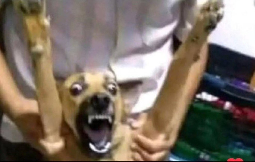 妯娌!🥷 tweet media