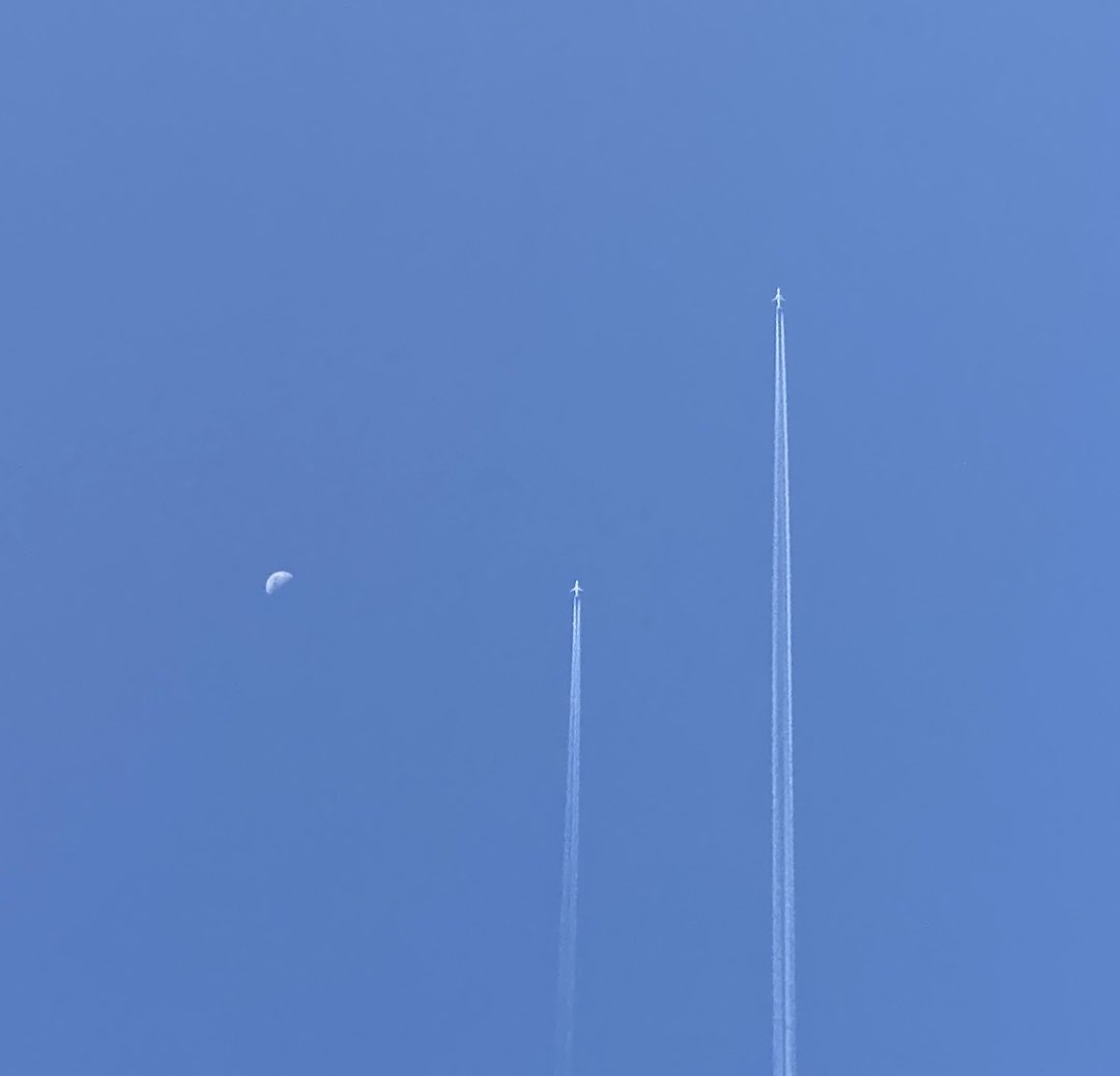 ゲバイ研究所 tweet media