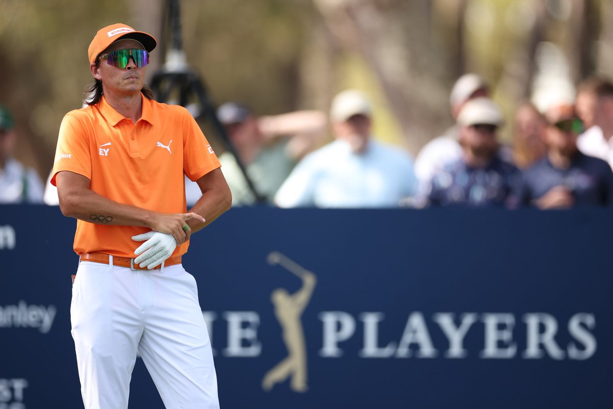 Paul Hodowanic tweet media