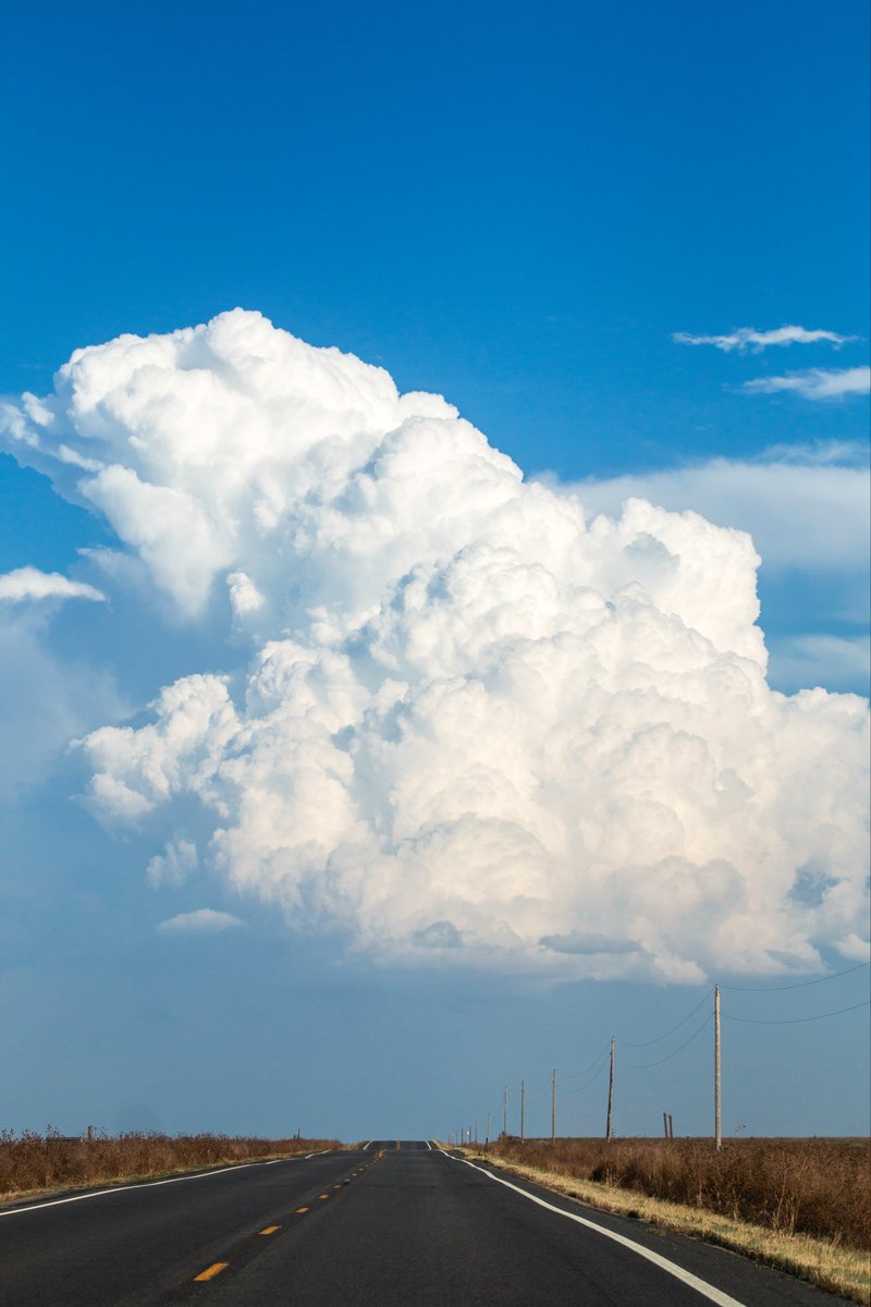 Sarah 📸 tweet media