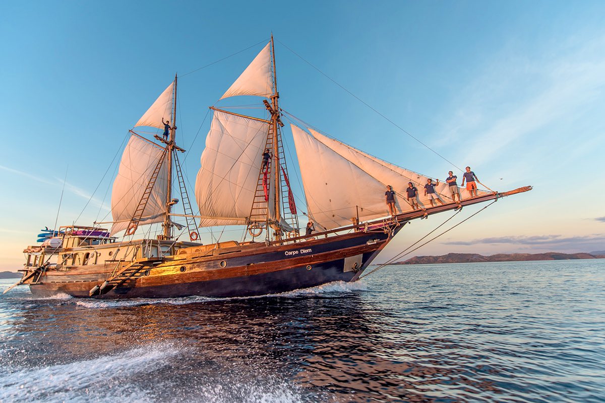 BucinnyaVinShan tweet media