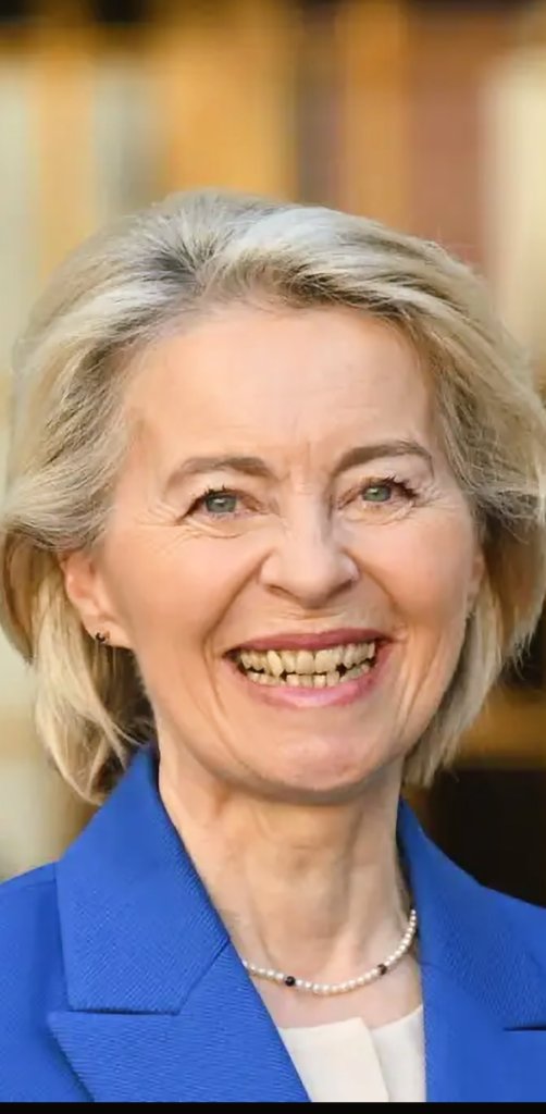 Satire-S@bine-Mueller™ 🇺🇸 @elonmusk tweet media