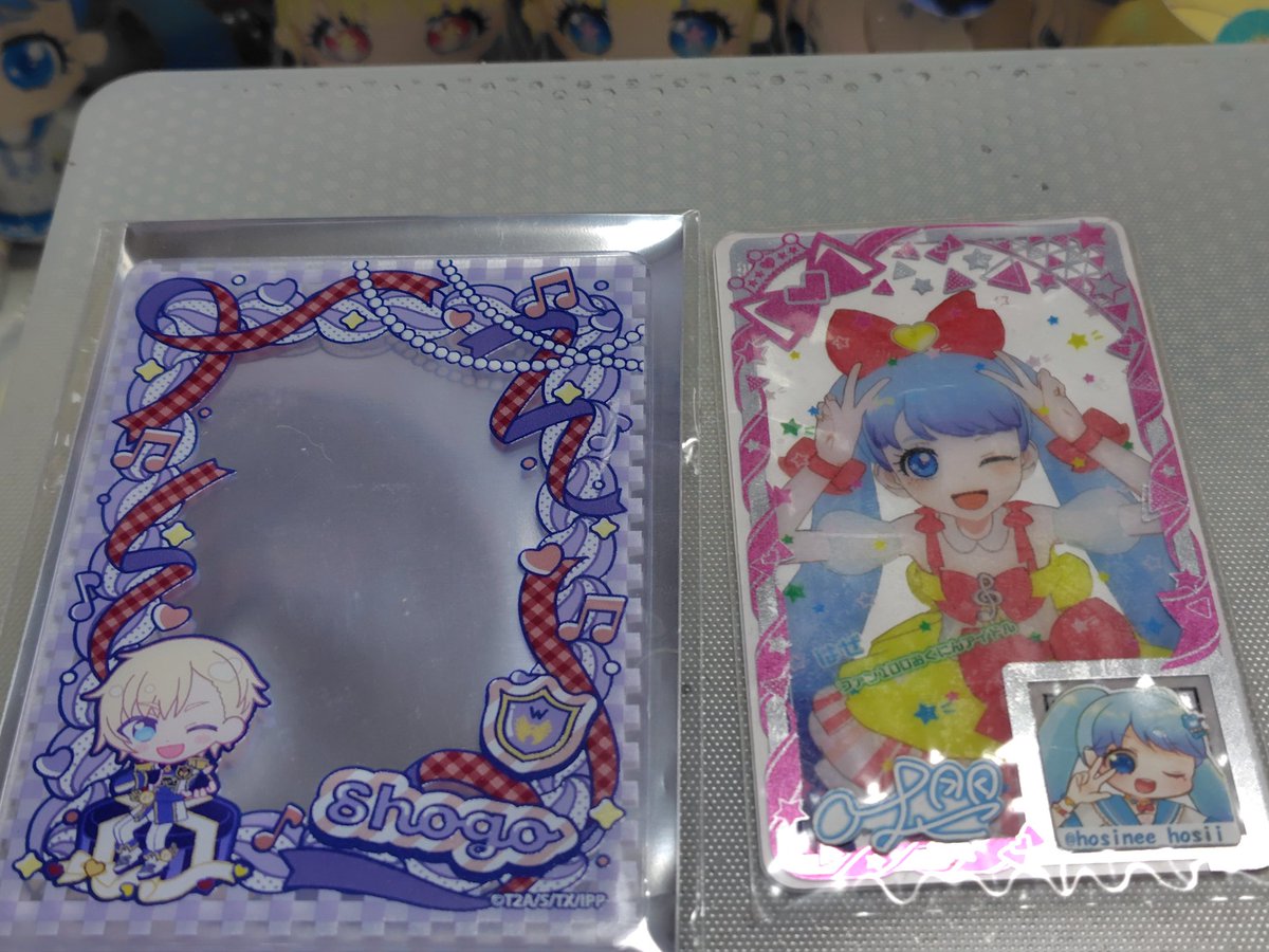 さんたいぼし🐟 tweet media