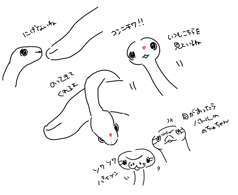 のちゅ tweet media