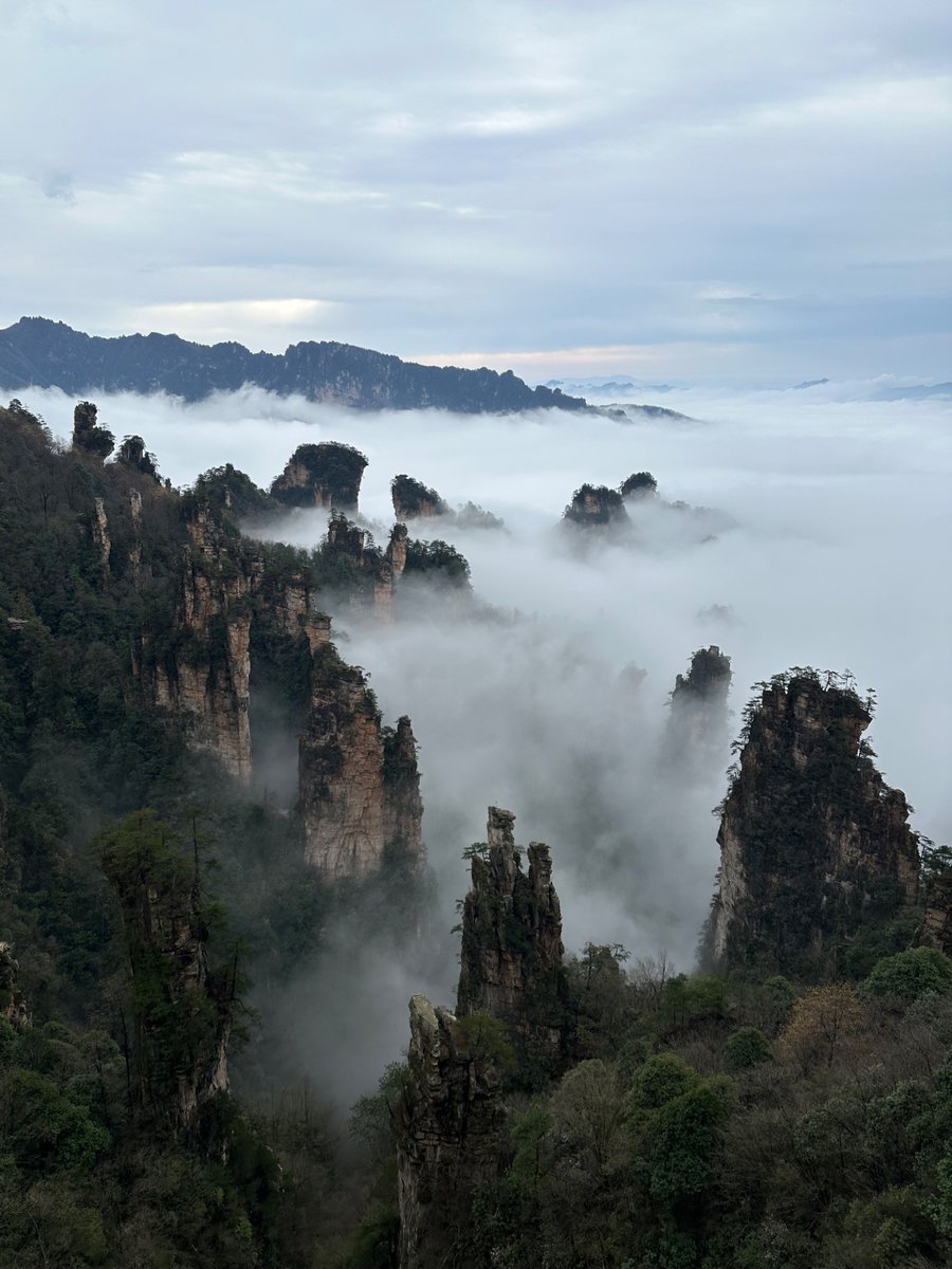 rui skrunkle🟥 tweet media