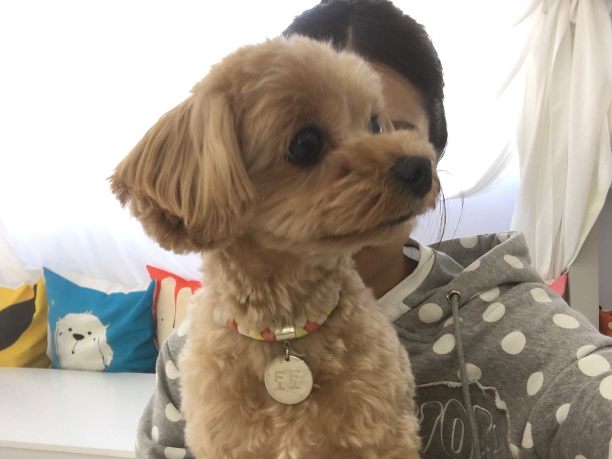 jungeun pics tweet media