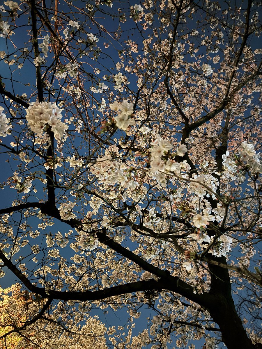 銀河系超級偵探 tweet media