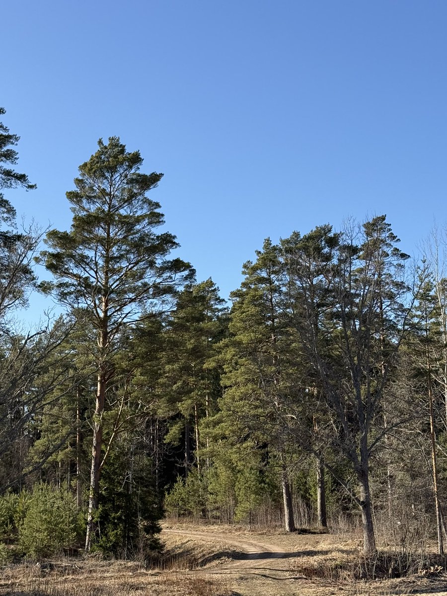 Master Yoda tweet media