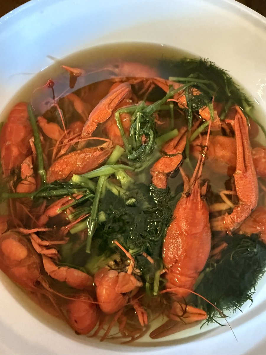 Master Yoda tweet media