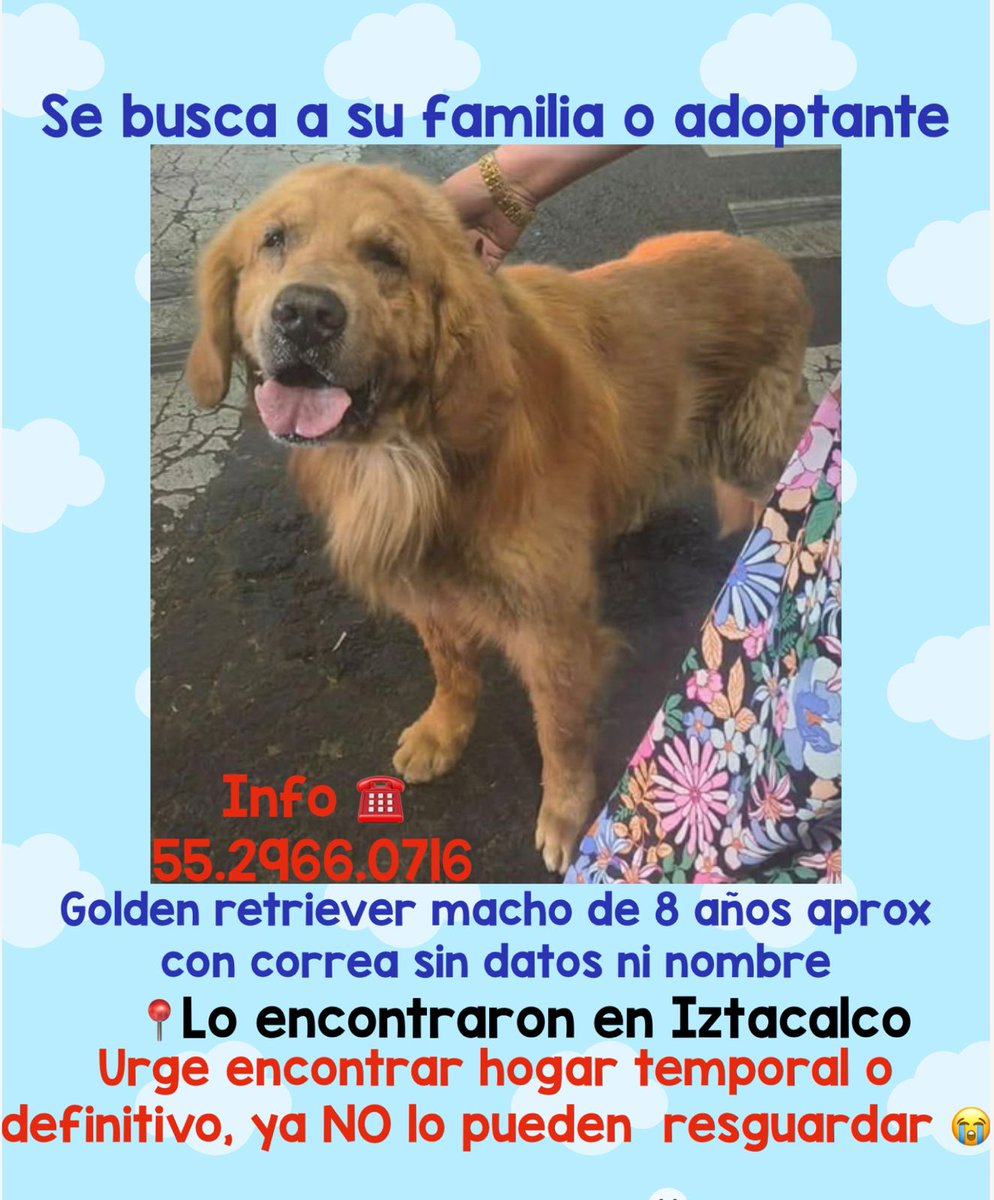 por_perros tweet media