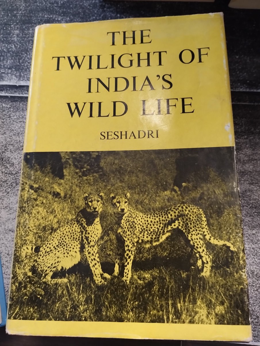 Katrina Rotgalve tweet media