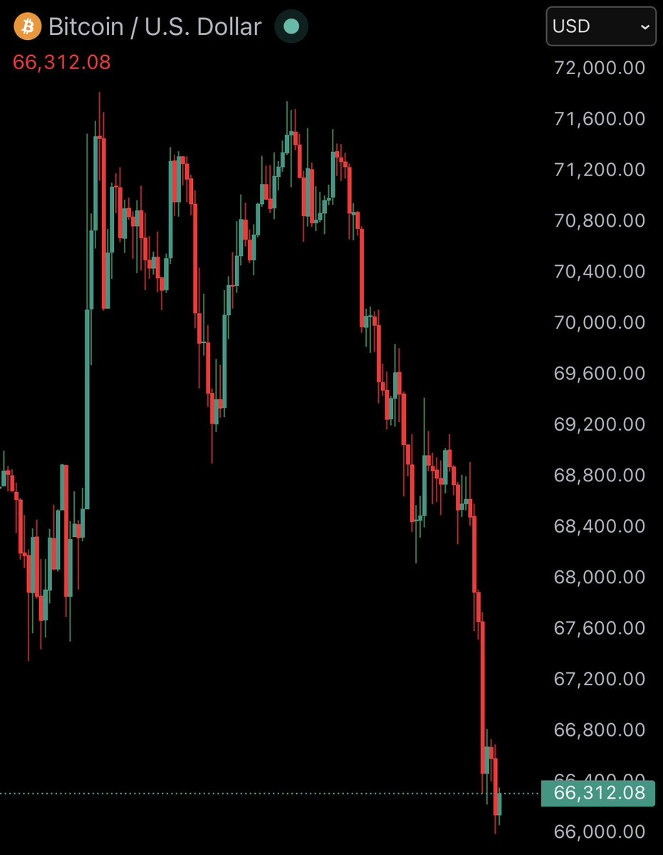 Bitcoin Junkies tweet media
