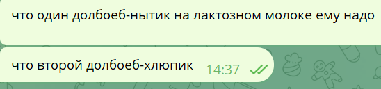 Alice Kl tweet media