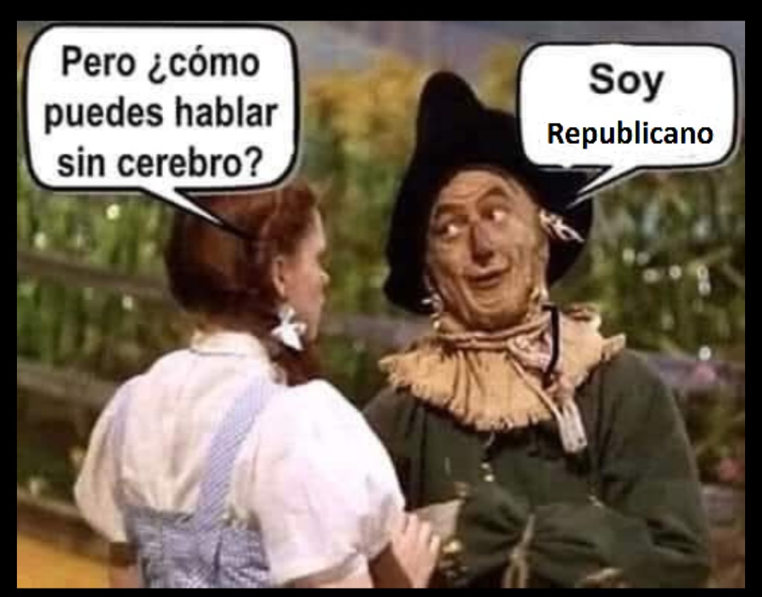 ChasconaDeNacimiento ✊NO VOTÉ POR EL NAZI🔥 tweet media