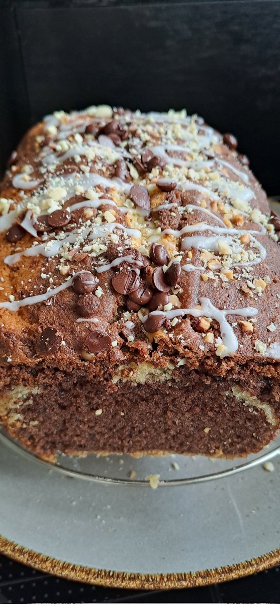 DschungleMulle™ tweet media