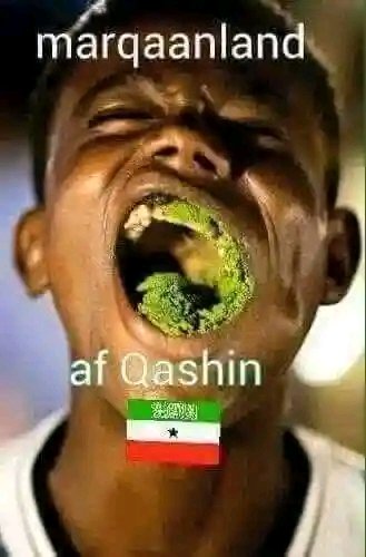 Hamza Haraco🇸🇴 tweet media