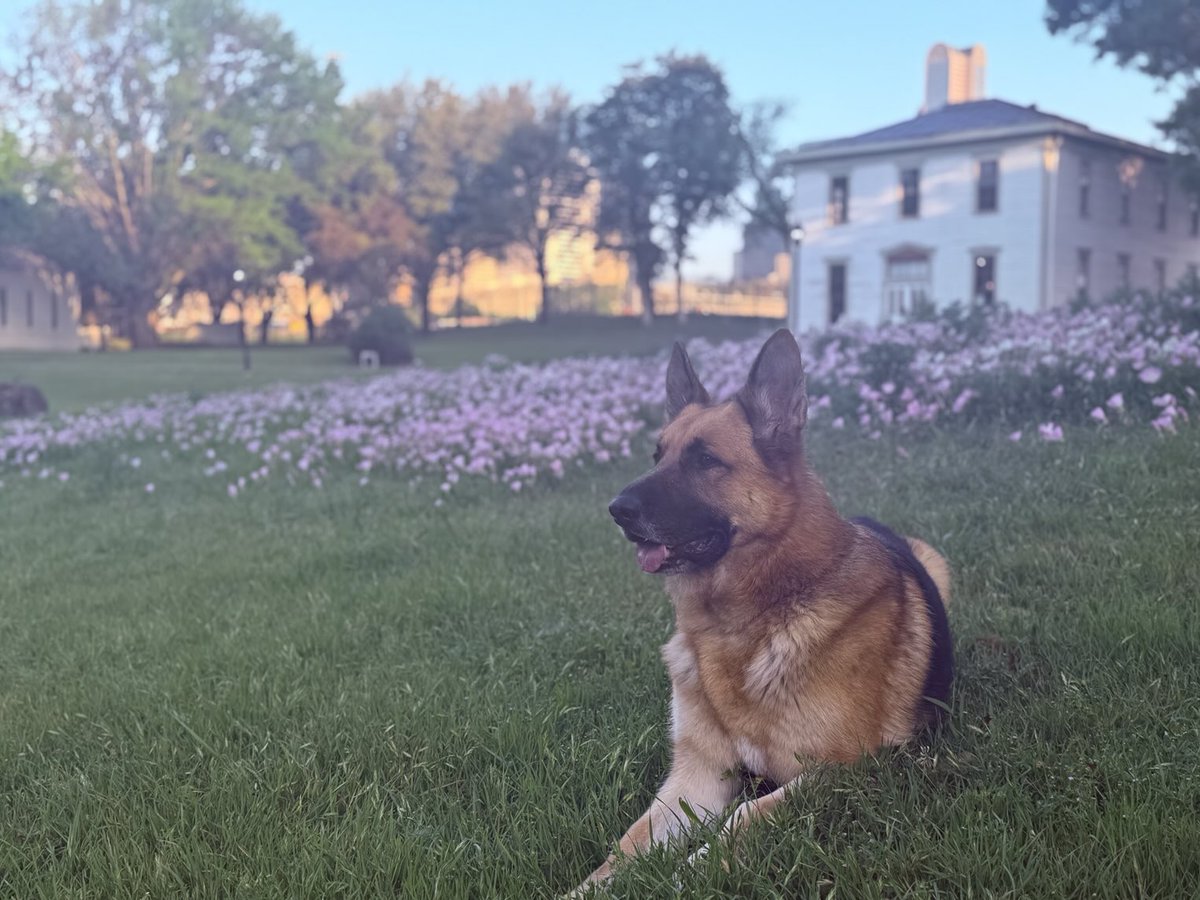 Elizabeth tweet media