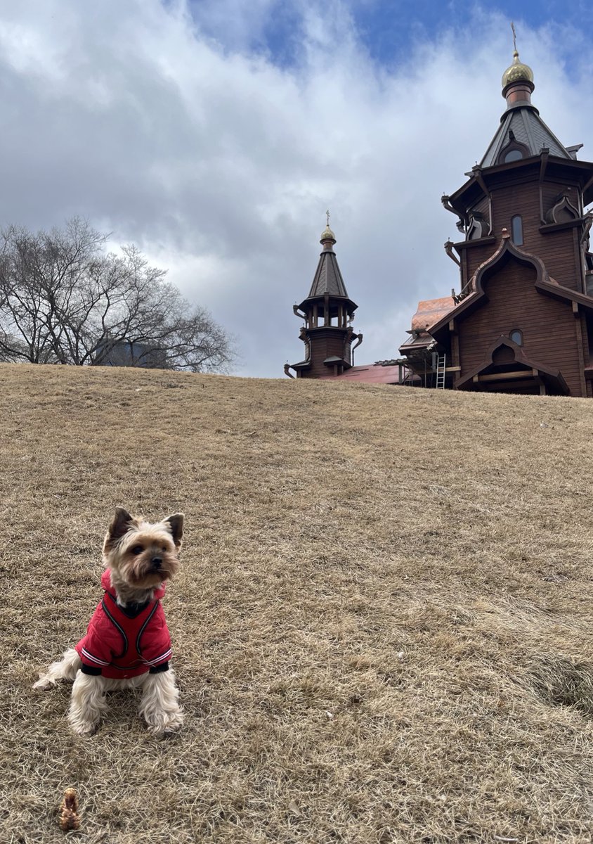 Злустный Лерыч tweet media