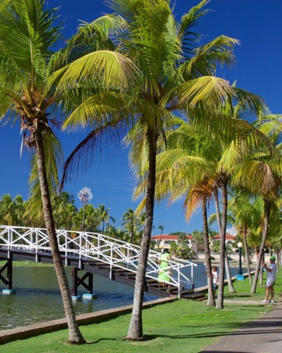 Solways Cuba tweet media