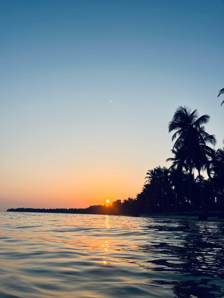 K E E F A R 👽 tweet media