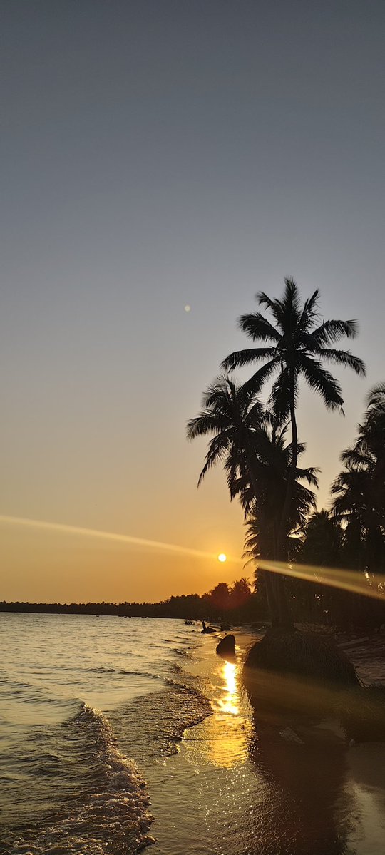 K E E F A R 👽 tweet media