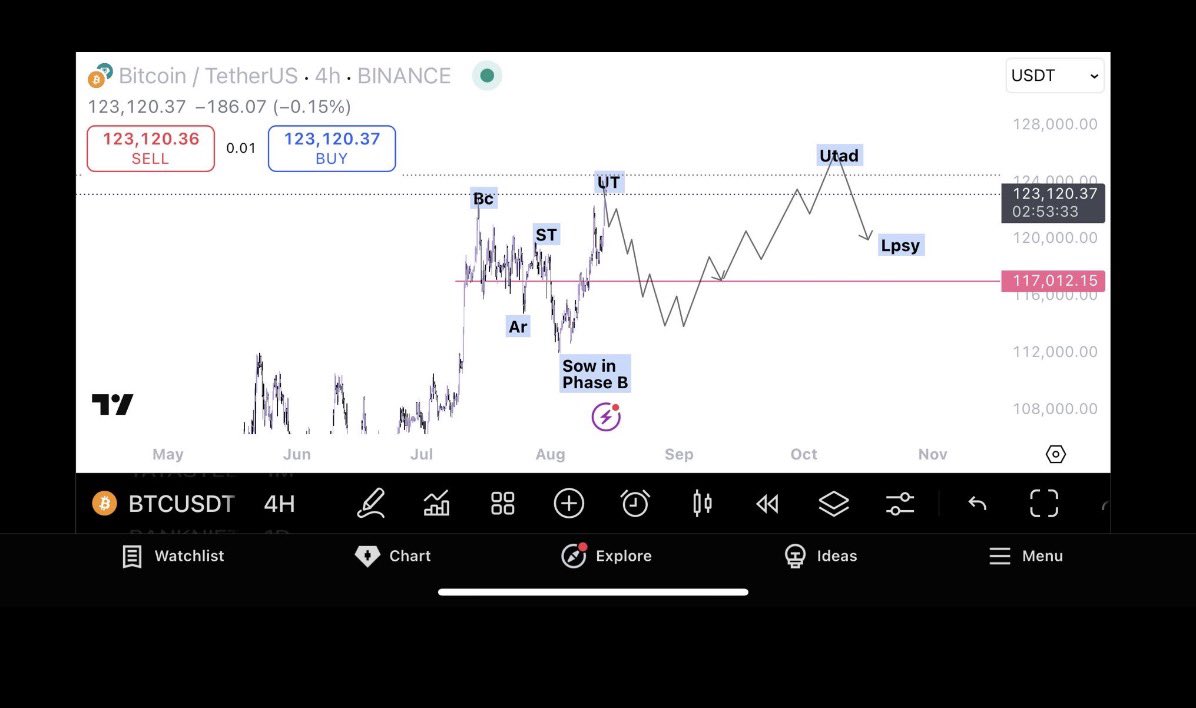 VECTOR PRIME tweet media