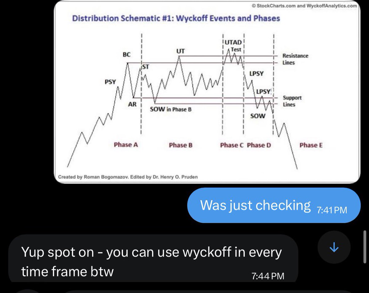 VECTOR PRIME tweet media
