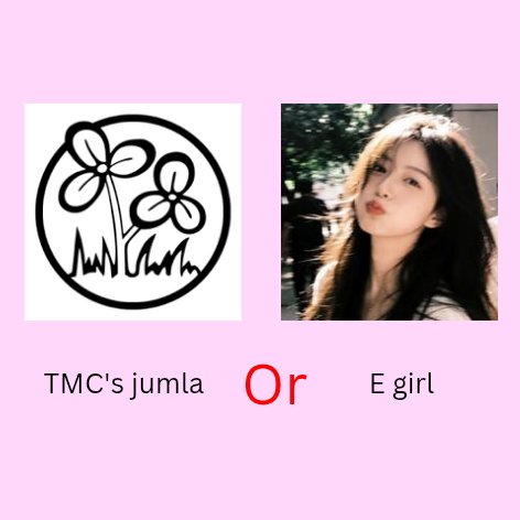 Marimo 🪷 tweet media