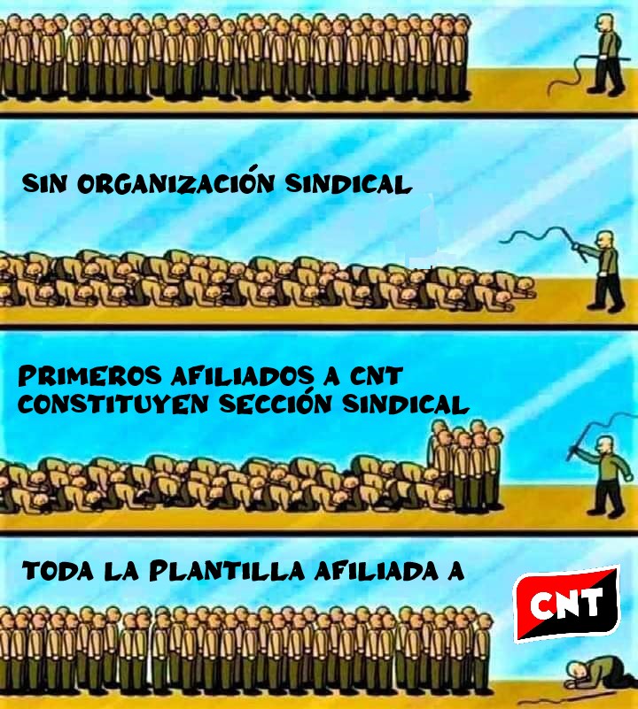 CNT-Adra tweet media