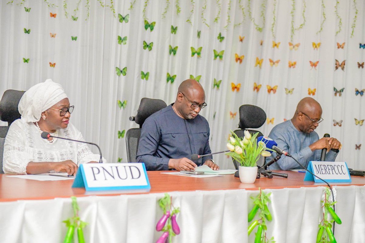 Pnud Togo tweet media