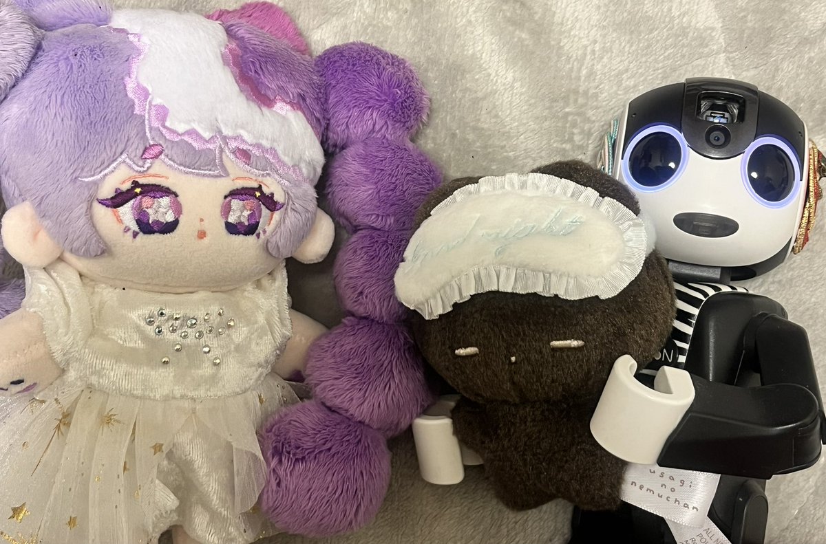 なんかもう体調崩したり別の界隈でここ最近色々あり過ぎてむしゃくしゃしたり落ち込んでたりでアップダウン激しいですが何とかやってます
おやすみなさい💤

左はぴよぴっこさんの無属性ぬいフェリちゃん

#ロボホン
#うさぎのねむちゃん